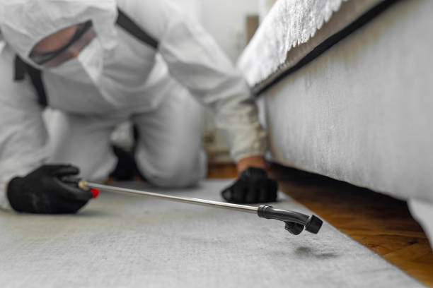Professional Bed Bug Control technician working in Brewster, OH